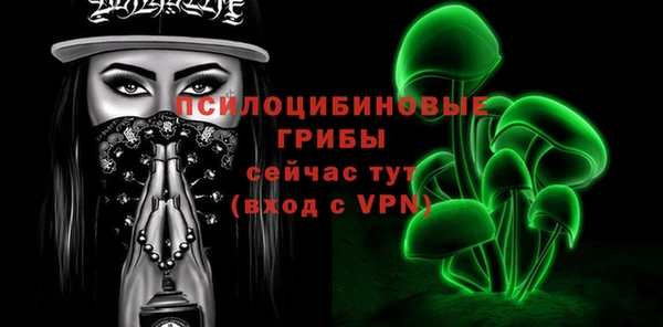 метамфетамин Богданович