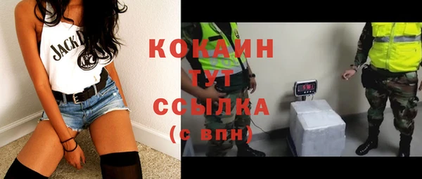 ECSTASY Богородицк