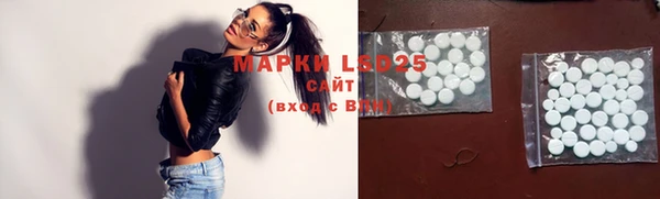 ECSTASY Богородицк