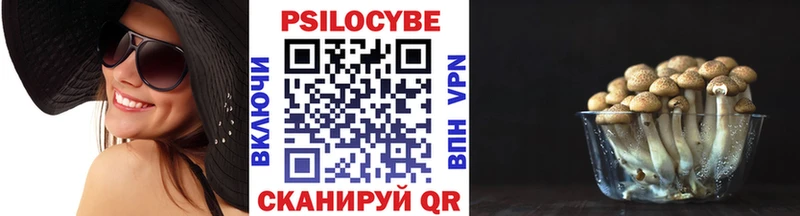 Галлюциногенные грибы прущие грибы  где можно купить наркотик  Циолковский 